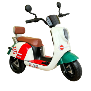 Motorr elektrik ITALIA